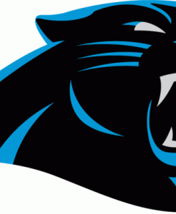Carolina Panthers Gear