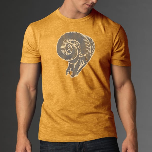 Los Angeles Rams man T shirt