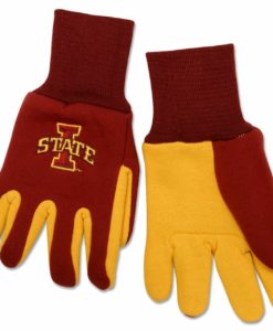 Iowa State Cyclones Two Tone Gloves Youth Size